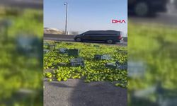 Gaziantep'te mandalina yüklü kamyon devrildi! Tonlarca mandalina yola saçıldı