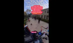 Gülhane Parkı’nda tepki çeken görüntü! Çocuğuna kedilere tekme attırdı