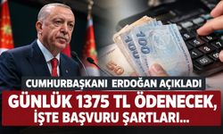 Cumhurbaşkanı Erdoğan açıkladı, Bakan Işıkhan detayları duyurdu: İşte İŞKUR Gençlik Programı başvuru şartları...