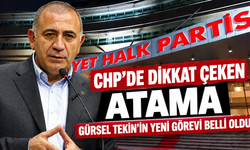 Gürsel Tekin'in yeni görevi belli oldu