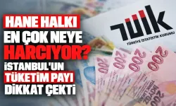 Hane halkı en çok neye harcıyor? İstanbul’un tüketim payı dikkat çekti
