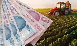 Her yıl 10 milyon metrekare hazine arazisi yatırıma açılacak