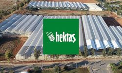HEKTS hisselerinde değişiklik: BIST endeks hesabı yenileniyor