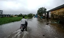 Hindistan'da Arnab Kasırgası can aldı: 3 kişi hayatını kaybetti