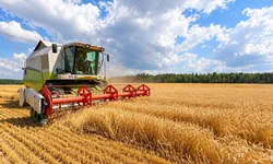 İBB’den 426 çiftçiye 116 ton tohum ve ücretsiz hasat makinesi desteği