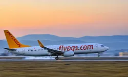İstanbul-Kopenhag seferinde kuş çarpması: Uçak acil iniş yaptı