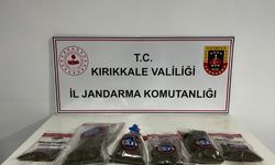 Kırıkkale’de ev bahçesinde 14 kök kenevir ve 1 kilo esrar bulundu
