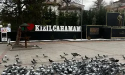 Kızılcahamam’da yüzde 10 indirim başladı: İşte geçerli işletmeler