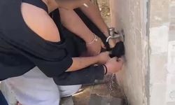 Denizli'de akran zorbalığını kaydettiler: Isladılar, darbettiler, saçından tutup sürüklediler
