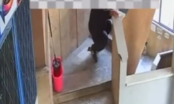 Konya’da akılalmaz olay! Merdivenlere tuvaletini yaptı, üzerini paspas kovasıyla kapattı