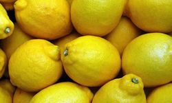 Limon üreticide ucuzladı markette ucuzlamadı: Fark 11 kata çıktı