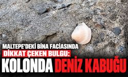 Maltepe'deki bina faciasında dikkat çeken bulgu: Kolonda deniz kabuğu