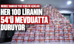 TCMB Finansal Hesaplar Raporu: 100 liranın 54'ü nakit ve mevduatta duruyor