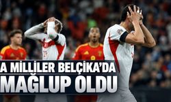 Belçika - Türkiye: 3-0 MAÇ SONUCU