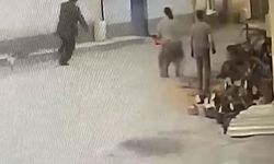 Testereli kadın, yaşlı adamı korkutup böyle düşürdü: Bursa'da akılalmaz anlar kamerada