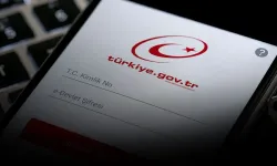Şehit Bilgi Kapısı nedir, nasıl kullanılır? Çanakkale'den Kurtuluş Savaşı'na aile şehitlerinizi bulmak