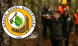 Orman Genel Müdürlüğü personel alacak: Başvurular 26 Ekim'de başlıyor
