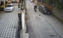 Osmaniye’de vicdanları sızlatan olay! Kediyi ezip arkasına bile bakmadı