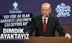 Cumhurbaşkanı Erdoğan sert konuştu: "Partimize yönelik saldırı kampanyası başlattılar"