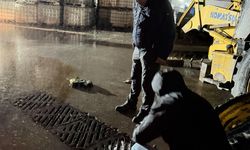 Sekapark’taki köpüğün nedeni belli oldu! Firmaya ceza