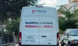 Sincan’da sahipsiz hayvanlar için Haybulans seferberliği
