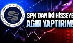 SPK'dan Altınkılıç Gıda ve Anel Elektrik hisselerine yaptırım kararı!
