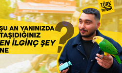 Şu anda yanınızda taşıdığınız en ilginç şey nedir?
