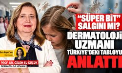 “Süper bit” salgını mı? Dermatoloji uzmanı Türkiye’deki tabloyu anlattı