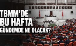 TBMM'de bu hafta gündemde ne olacak?