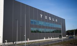 Tesla’dan ret alınca 68 paket domuz gözü gönderdi