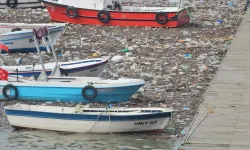 Zonguldak Limanı çöplerle kaplandı! Balıkçı tekneleri atıkların arasında kaldı