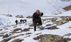 Yaban hayatına şefkatli bir dokunuş