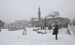 Erzurum'un 2 ilçesinde eğitime kar engeli