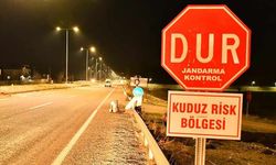 Adıyaman'da kuduz paniği