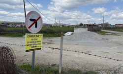 Bir köyde daha şap karantinası başladı