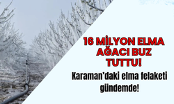 Elma cenneti Karaman’da şok görüntüler: 16 milyon elma ağacı buz tuttu!