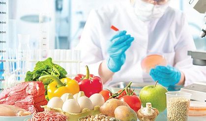 Harvardlı uzmandan uyarı: Bu katkı maddeleri sizi daha da acıktırıyor