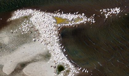 Kuraklık Manyas Gölü'nü de vurdu!