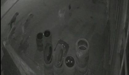 Lastikçi saldıran köpeklerden kaçan tavuğu böyle kurtardı