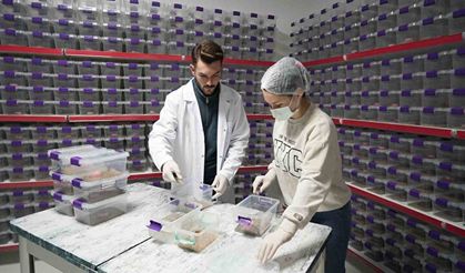 Niğde’den dünyaya akrep zehri: Genç girişimci 5 ülkeye ihraç ediyor