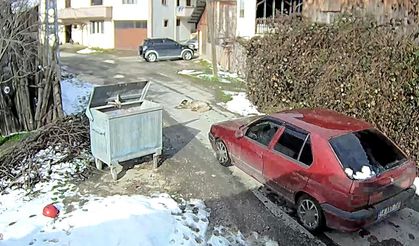 Vicdanlara sığmayan olay kamerada: Köpeği ezip geçti!