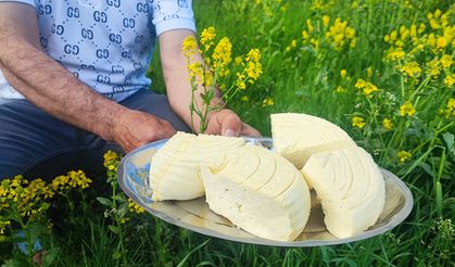 Yozgat'ta dede usulü yayla hayatı sürdürülüyor