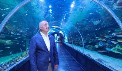 Kocaeli'ne büyük akvaryum açılıyor