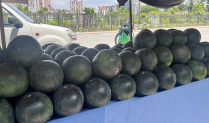 Doğru karpuz nasıl anlaşılır? Uzmanı açıkladı