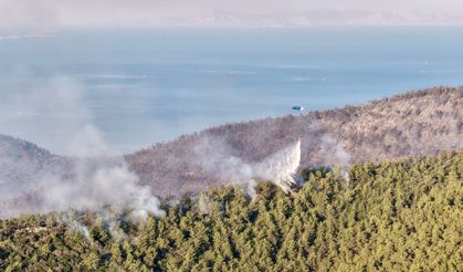 Muğla'da korku dolu orman yangınında seferberlik