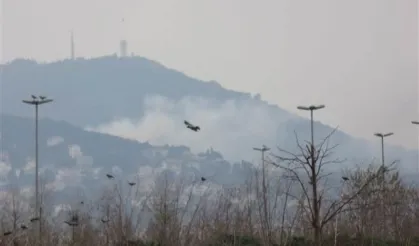Büyükada'da yangın paniği