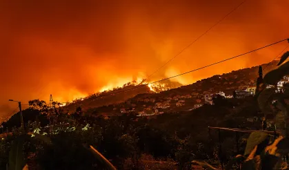 Sicilya orman yangınlarına teslim oldu