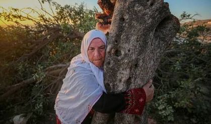 B'Tselem'den Batı Şeria ikazı: "İsrail'in etnik temizliği herkesin gözü önünde hızlanıyor"