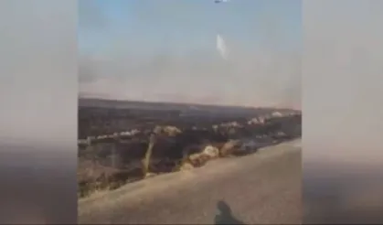 Haymana’da otluk alanda yangın! Alevlerden kaçan hayvanlar böyle görüntülendi