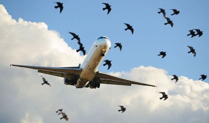 Kuş çarptı, motor alev aldı: Yolcu uçağında korku dolu anlar